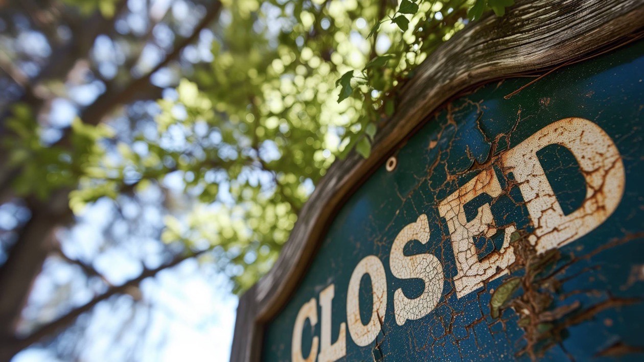 WordPress è morto? I dati 2026 e le 9 alternative vere
