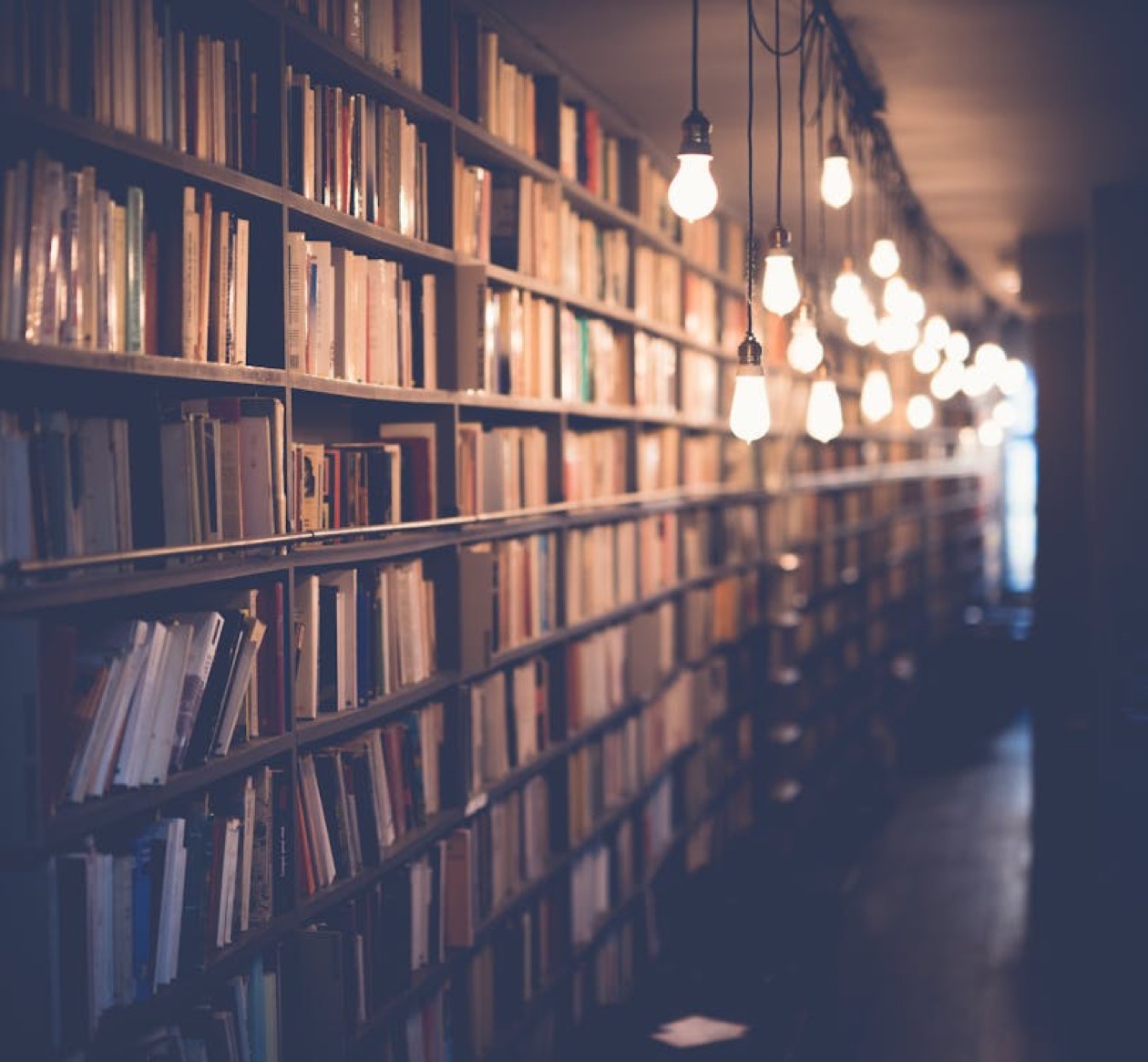 Libri di marketing e branding impilati in libreria, riferimento Ehrenberg-Bass Institute e leggi Sharp