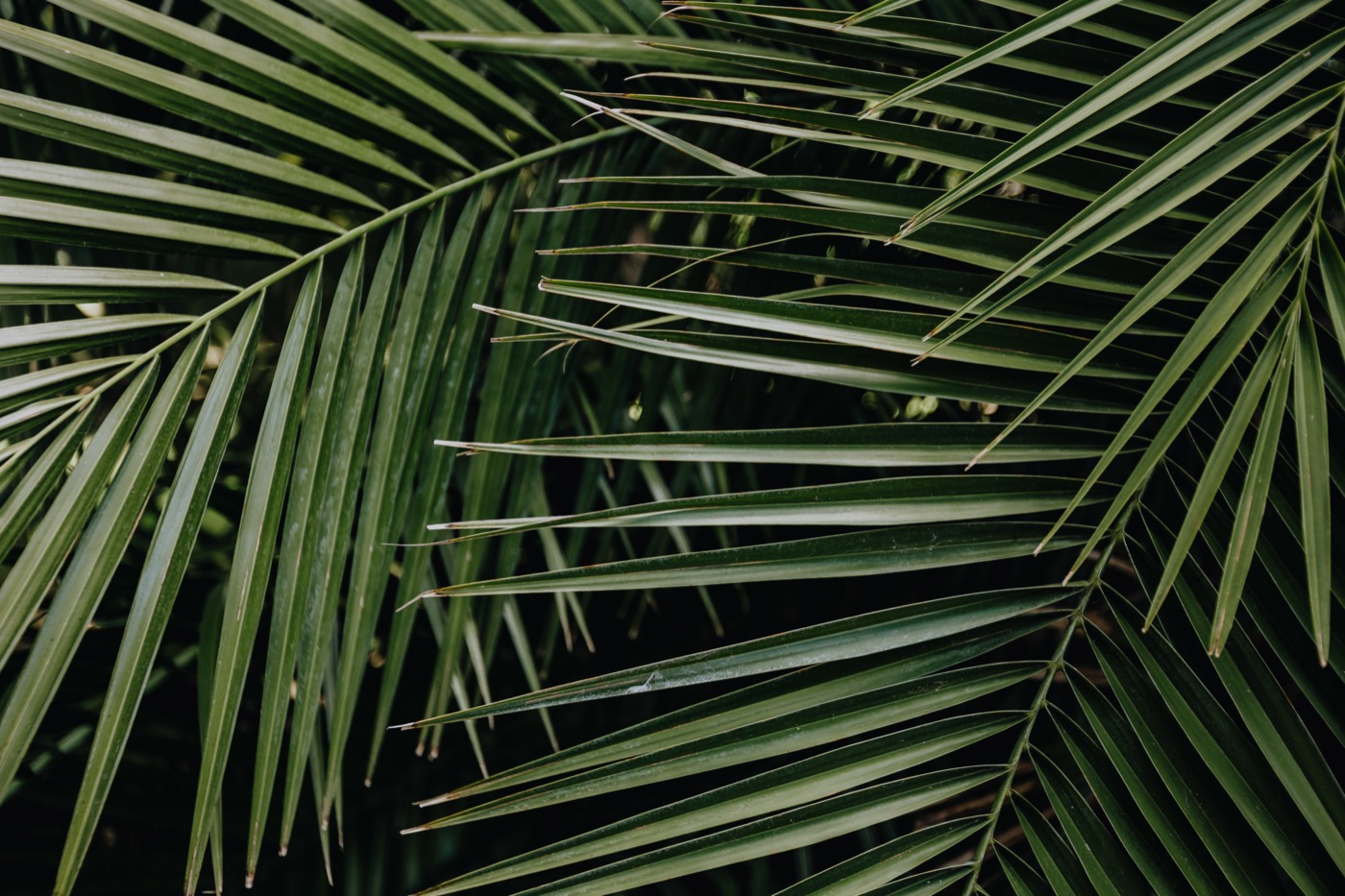 Fuffaguru del Marketing: 10 Señales para Reconocerlos (2026)